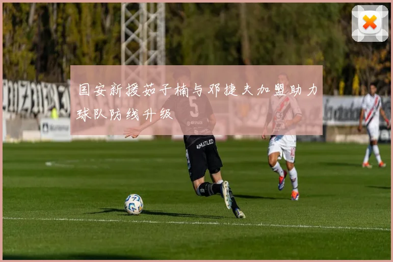 国安新援茹子楠与邓捷夫加盟助力球队防线升级
