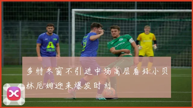 多特冬窗不引进中场高层看好小贝林厄姆迎来爆发时刻