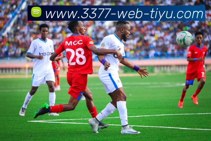 3377体育平台生态图